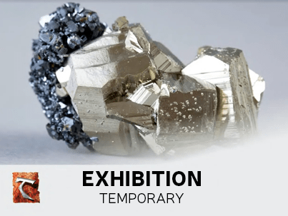 Exhibition temporary