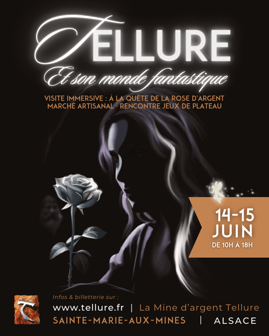 affiche festival format insta